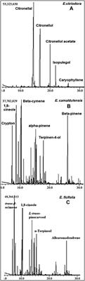 Eucalyptus-derived essential oils alleviate microbes and modulate inflammation by suppressing superoxide and elastase release